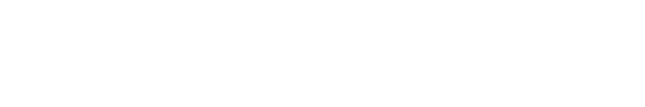 Tiggo 9
